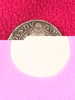 mince 1.jpg