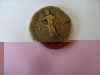 S7301183.JPG
