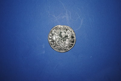 DSC_0306mince1.JPG