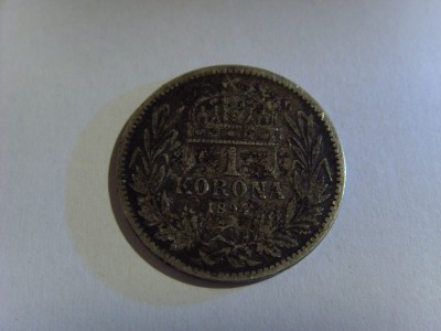 SSL25779.JPG