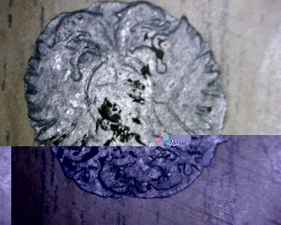 Snímek 003.jpg