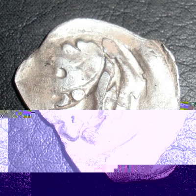 CIMG9998.JPG
