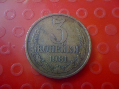Snímek 1619.jpg