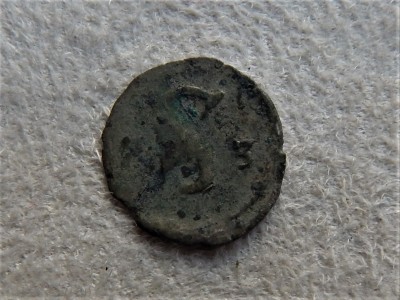 DSCN4110.JPG