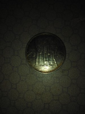 1552487366248-1305867115.jpg