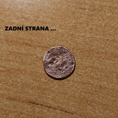 medacek 4.jpg