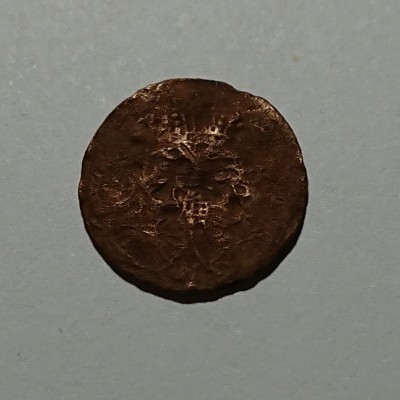 medacek 2.jpg
