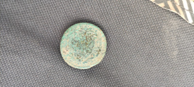 IMG_20220616_092725.jpg
