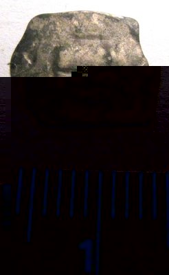 V2_6.jpg