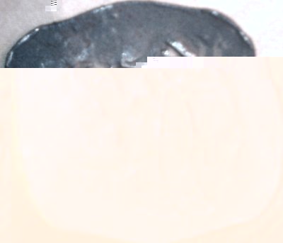 mince 3.jpg